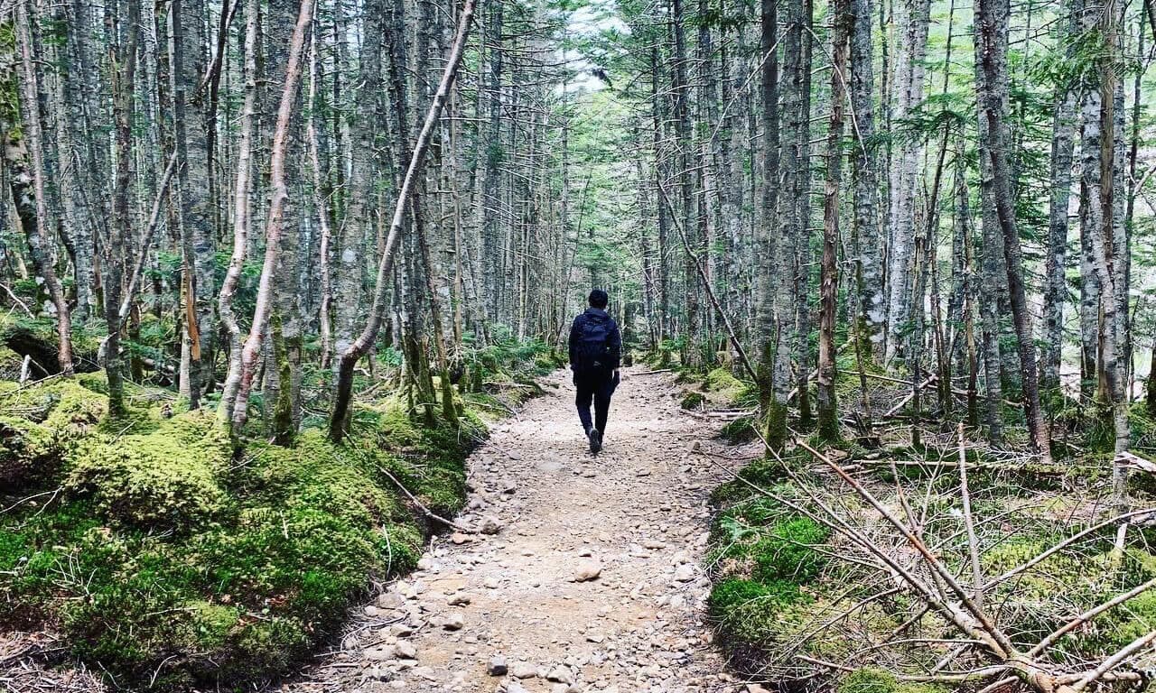 Landscape of a famous Japanese mountain 06